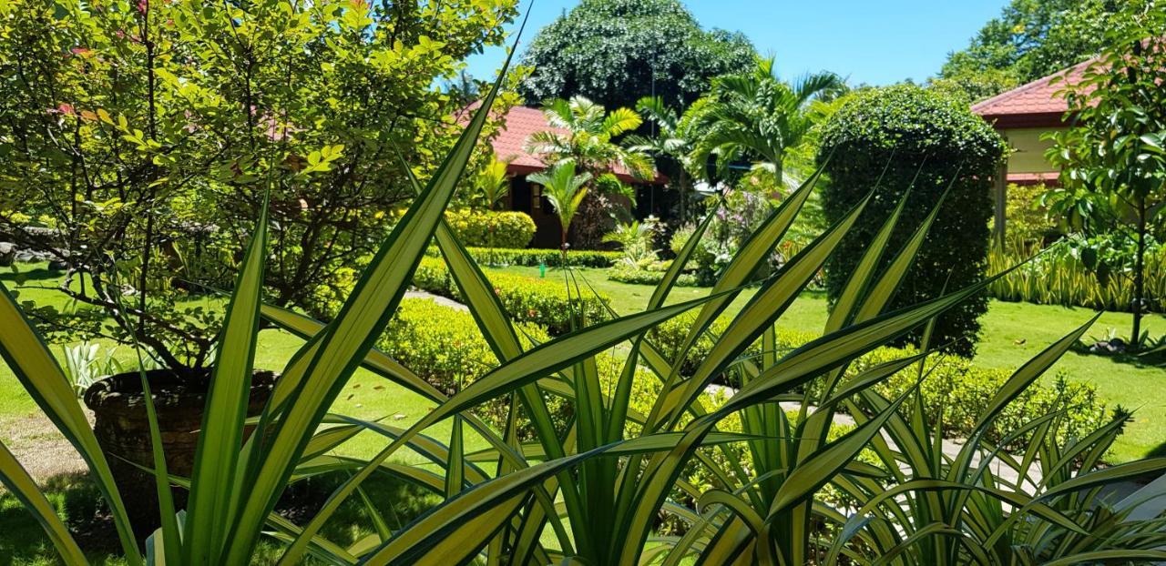 Mountain View Cottages Mambajao Exterior photo